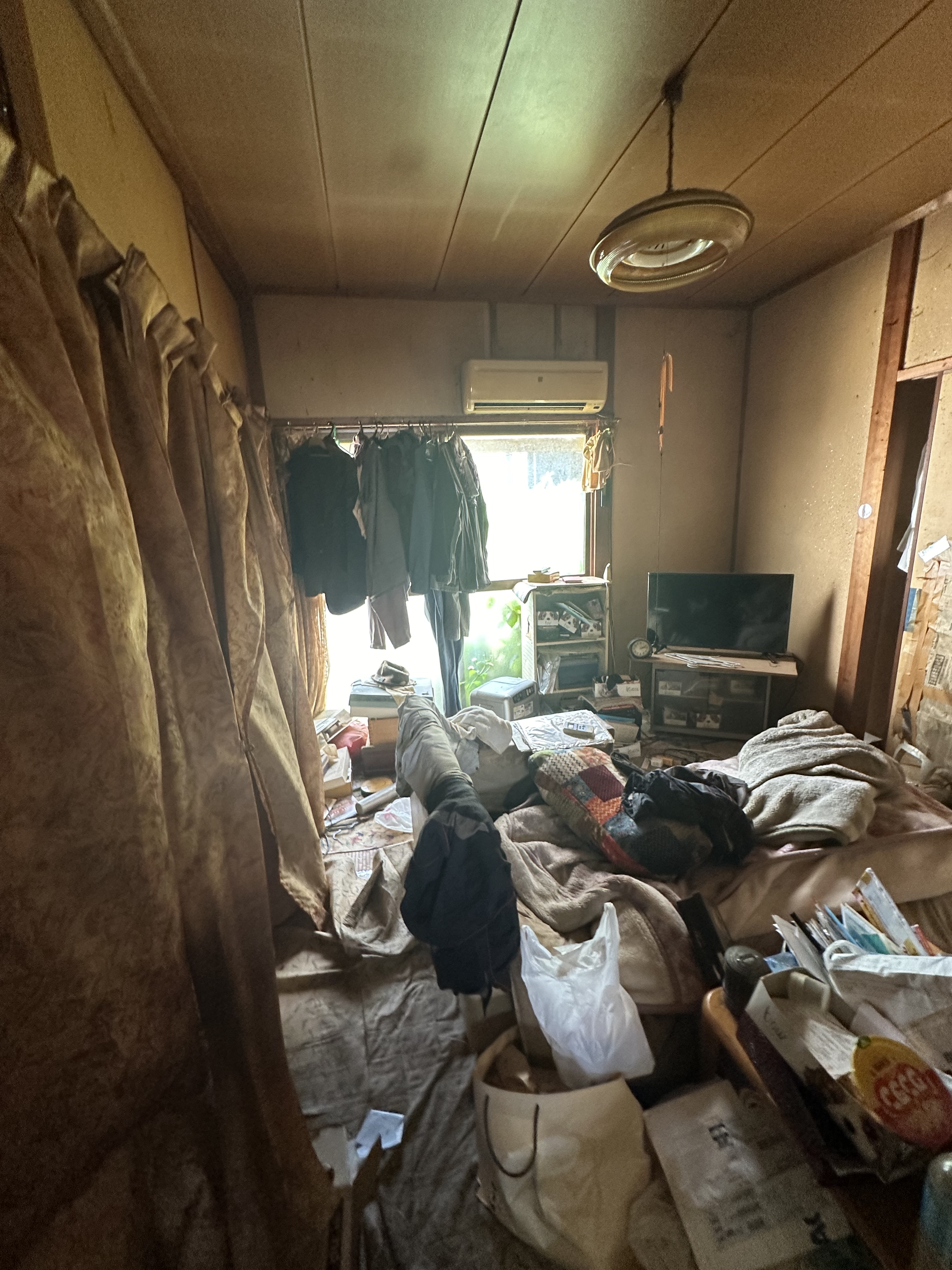 猫屋敷とペット臭の特殊清掃