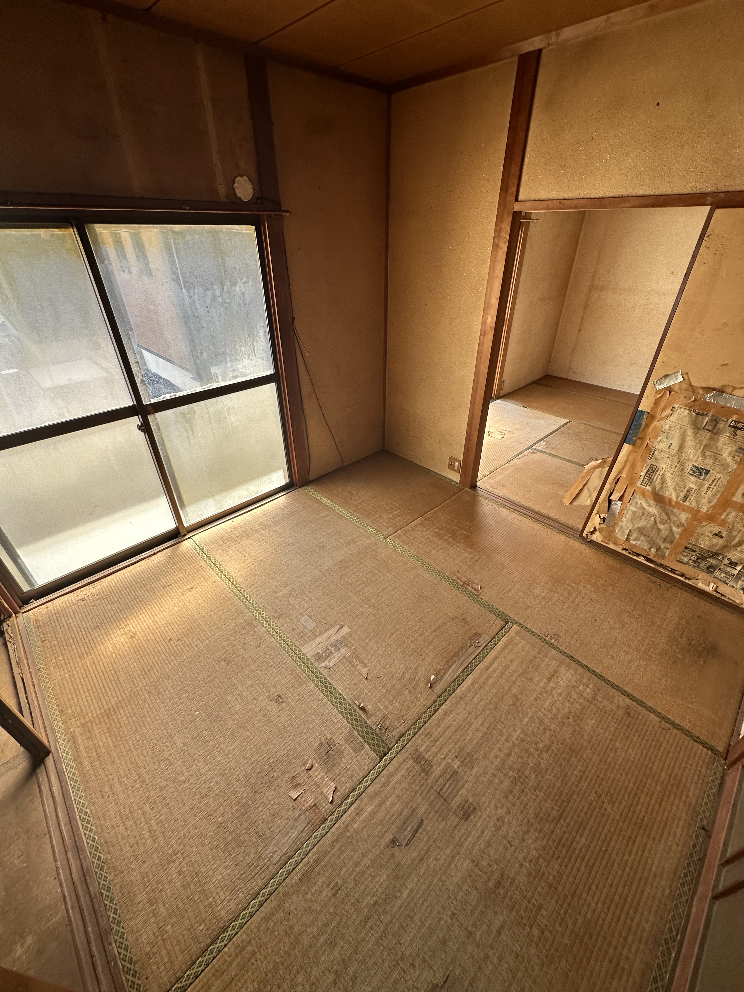 猫屋敷とペット臭の特殊清掃